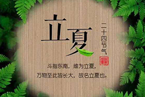 木门企业立夏节气图